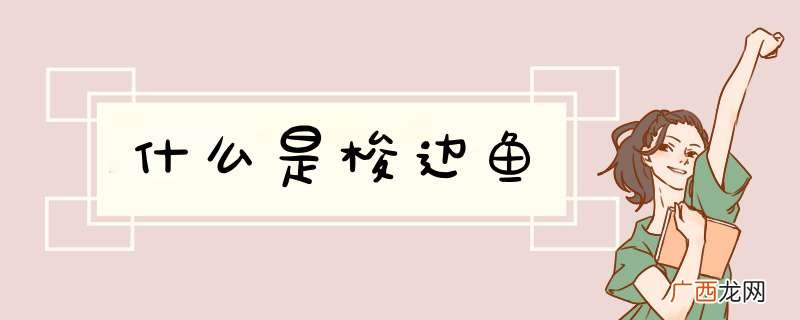 什么是梭边鱼