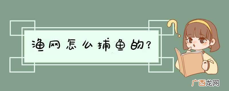 渔网怎么捕鱼的？
