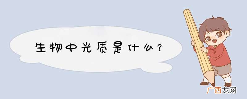 生物中光质是什么？