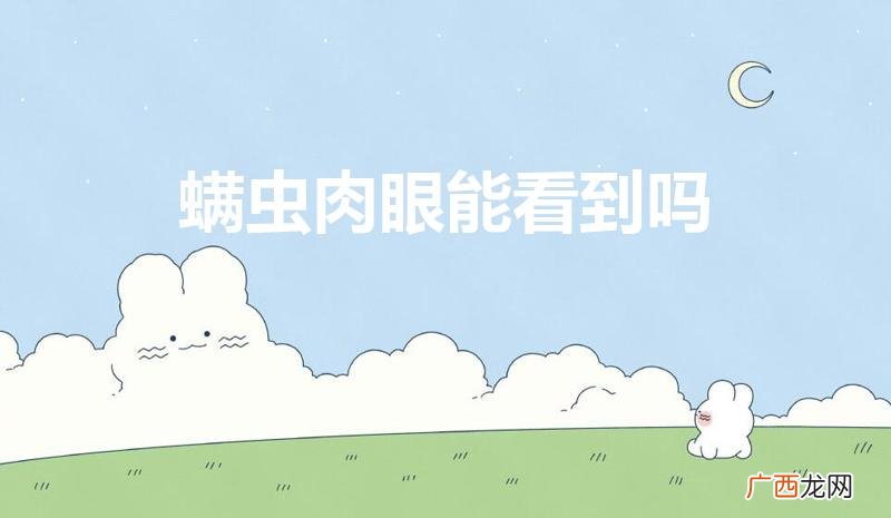 螨虫长什么样肉眼能看到吗 螨虫肉眼能看到吗