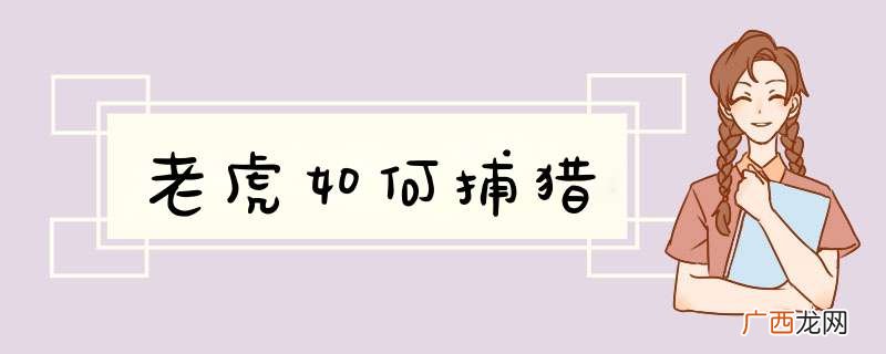 老虎如何捕猎