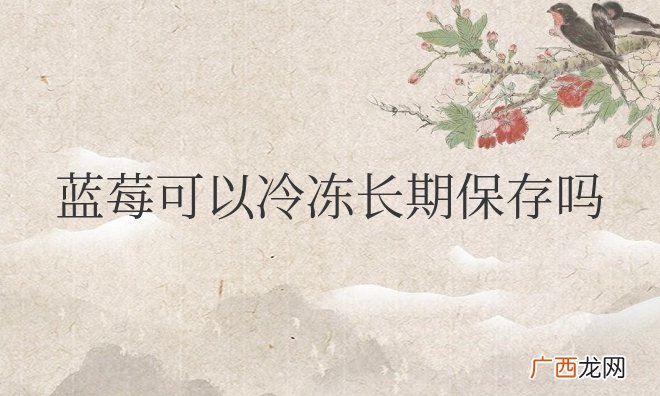 蓝莓可以冷冻长期保存吗