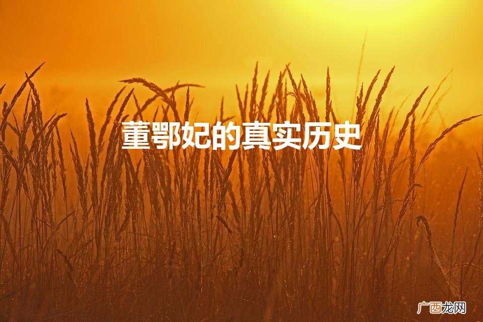 历史上真有董鄂妃这个人吗 董鄂妃的真实历史