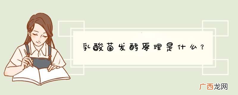 乳酸菌发酵原理是什么？