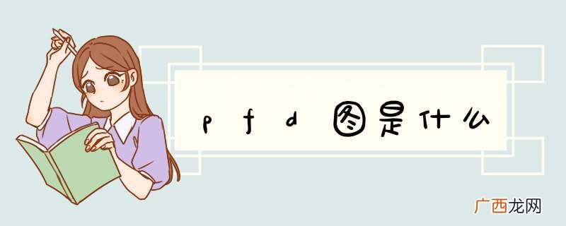 pfd图是什么