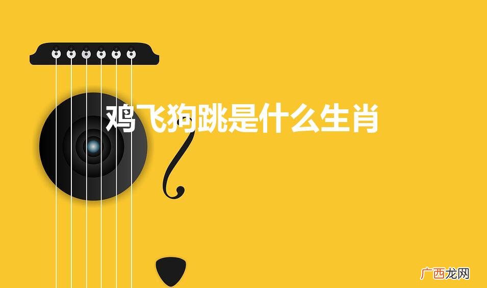 鸡飞狗跳是形容什么十二生肖动物 鸡飞狗跳是什么生肖