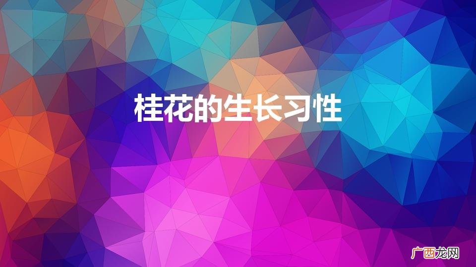 桂花的生长习性（桂花的生长特性)