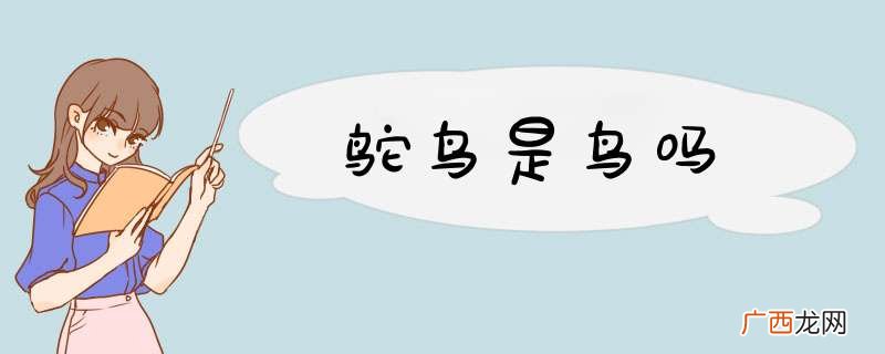 鸵鸟是鸟吗