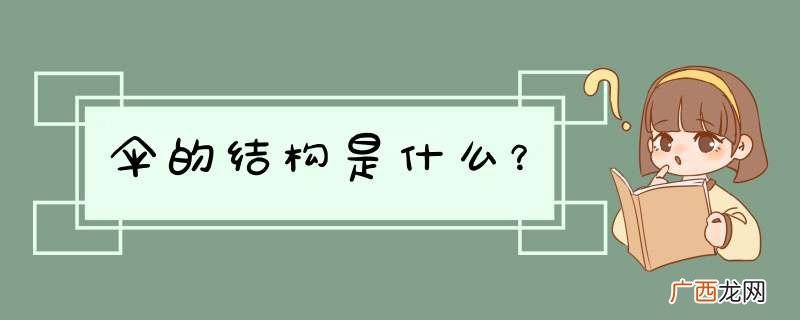 伞的结构是什么？