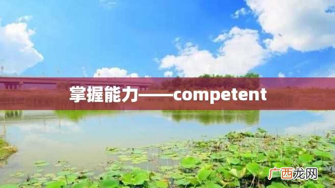 掌握能力——competent