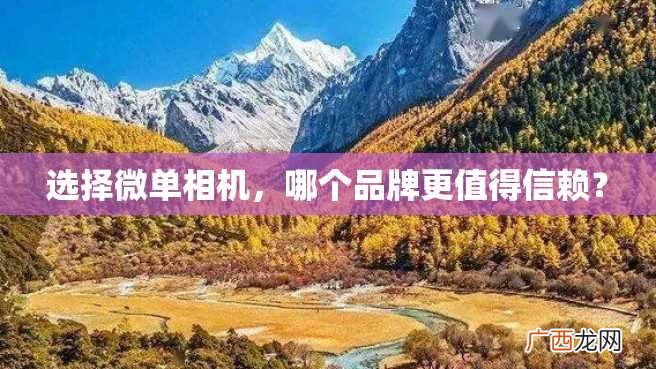选择微单相机，哪个品牌更值得信赖？