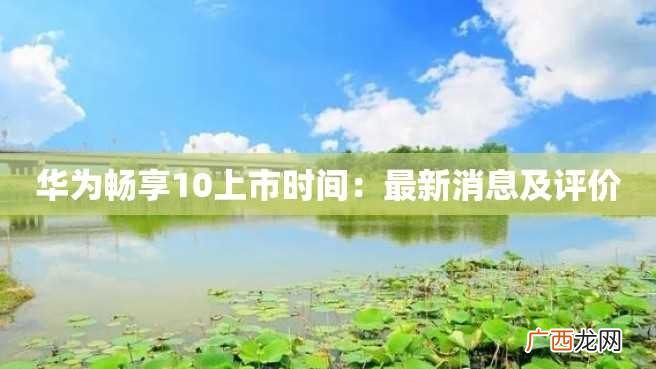华为畅享10上市时间：最新消息及评价