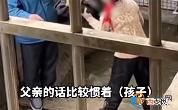 一位从教20年老教师的忠告：真正优秀的孩子都是父母陪出来的