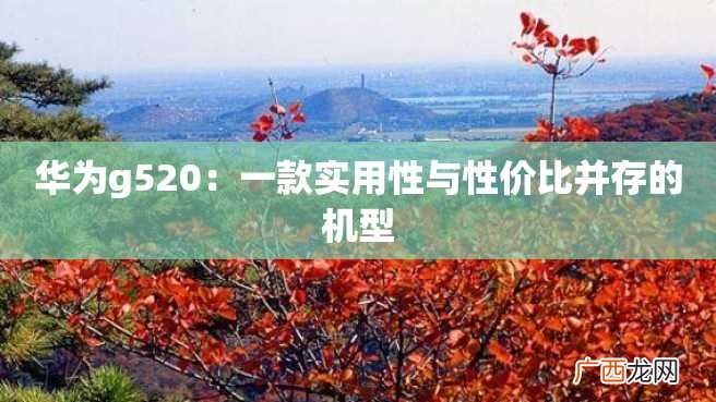 华为g520:一款实用性与性价比并存的机型