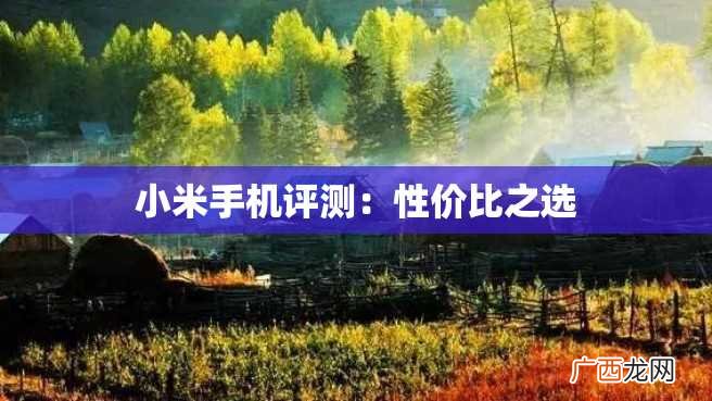 小米手机评测：性价比之选