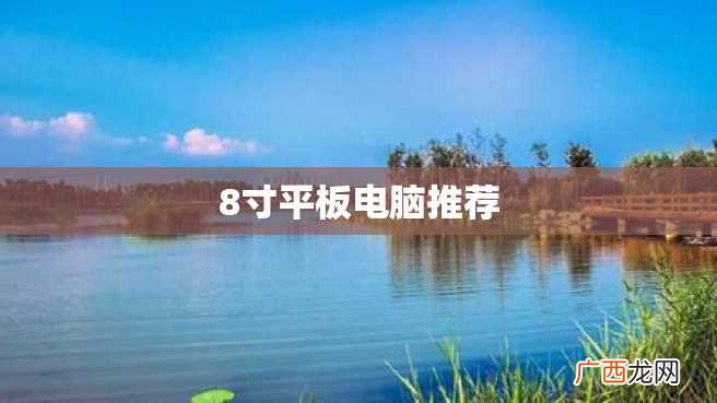 8寸平板电脑推荐