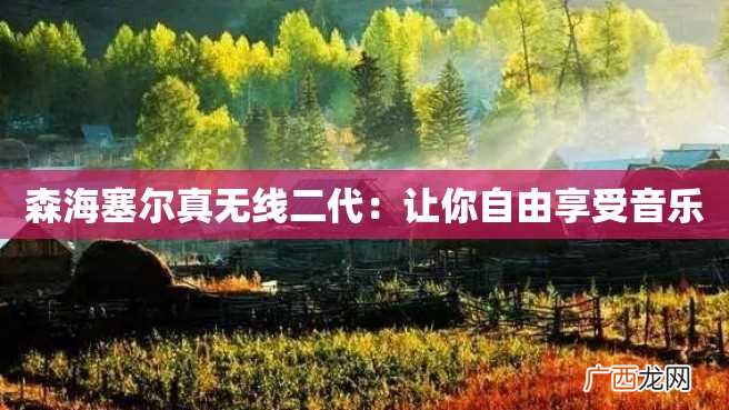 森海塞尔真无线二代：让你自由享受音乐