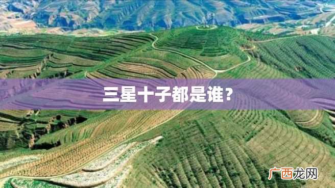 三星十子都是谁?