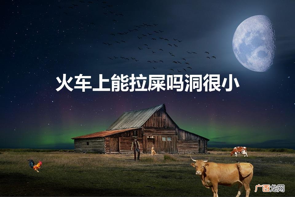 火车厕所坑的洞很小,可以大便吗 火车上能拉屎吗洞很小
