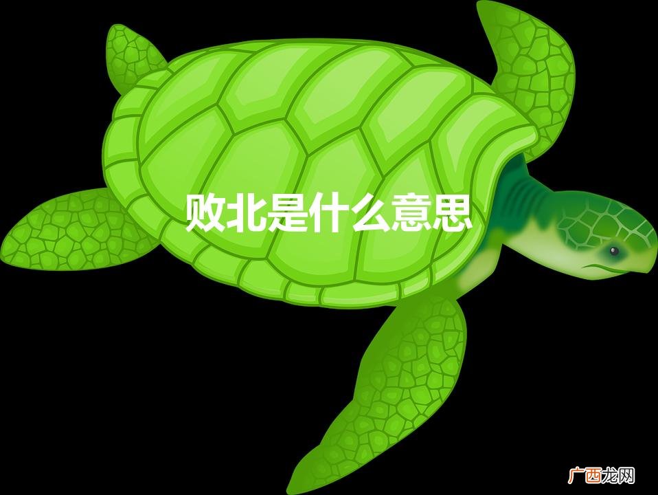 败北是什么意思 败北意思详解 败北是什么意思