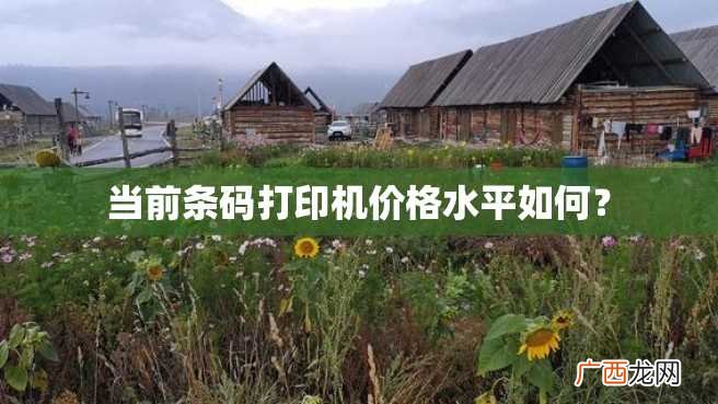 当前条码打印机价格水平如何？