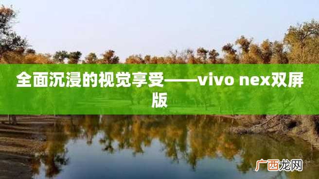 全面沉浸的视觉享受——vivo nex双屏版