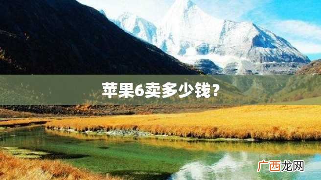 苹果6卖多少钱？