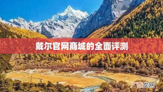 戴尔官网商城的全面评测
