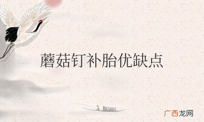 蘑菇钉和贴片补胎哪个好 蘑菇钉补胎优缺点