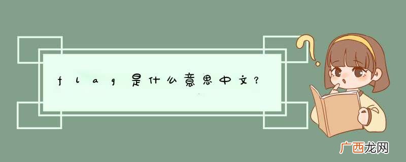 flag是什么意思中文?