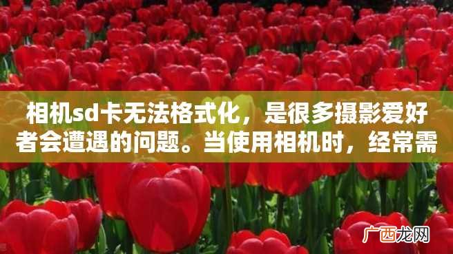 相机sd卡无法格式化，是很多摄影爱好者会遭遇的问题。当使用相机时，经常需要将旧的照片删除或者格式化SD卡，以腾出存储空间让我们继续拍摄更多的精彩瞬间。