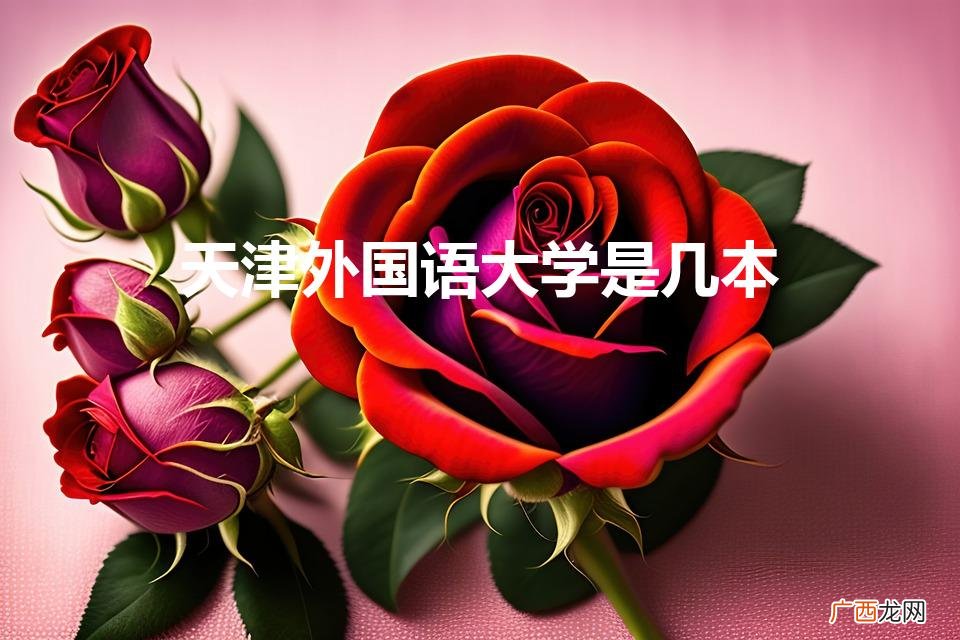 天津外国语大学是几本是211吗 天津外国语大学是几本