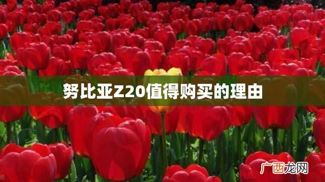 努比亚Z20值得购买的理由