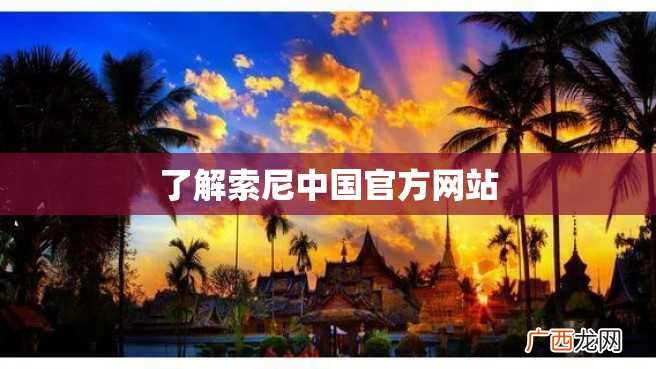 了解索尼中国官方网站
