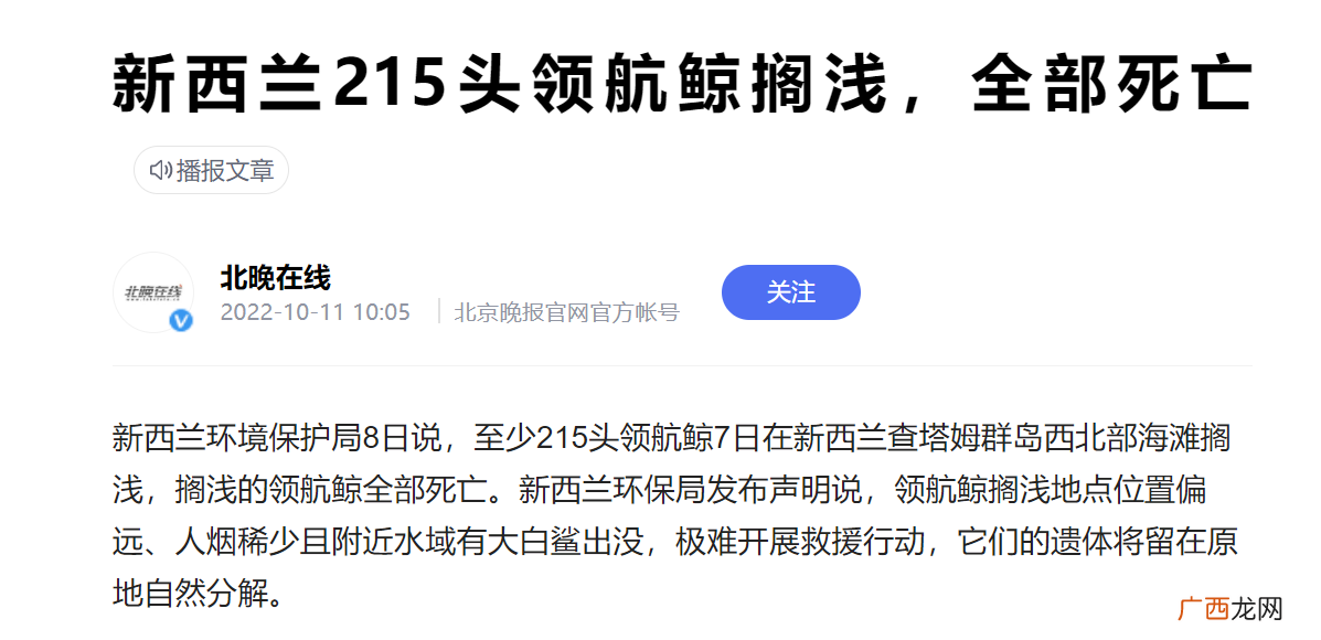 每年有多少领航鲸搁浅 领航鲸搁浅死亡是怎么回事