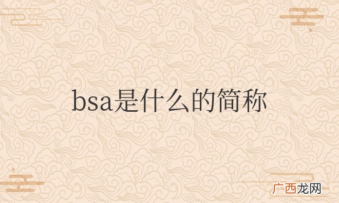 汽车仪表上bsa是什么意思