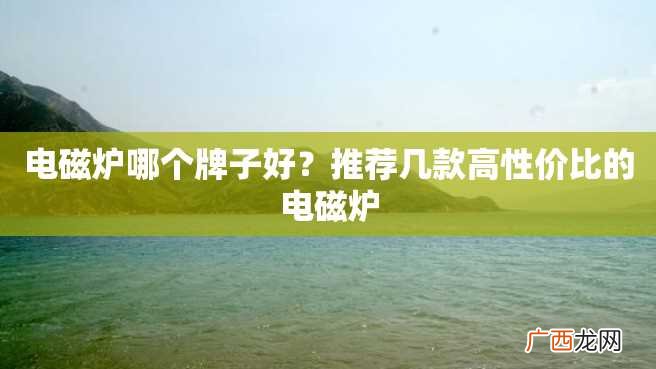 电磁炉哪个牌子好？推荐几款高性价比的电磁炉