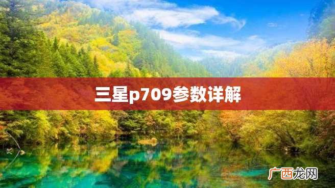 三星p709参数详解