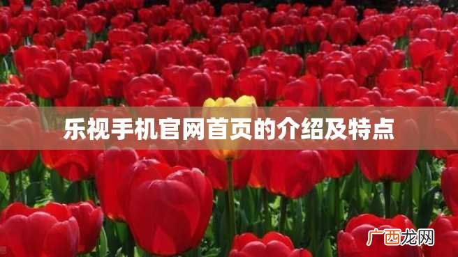 乐视手机官网首页的介绍及特点
