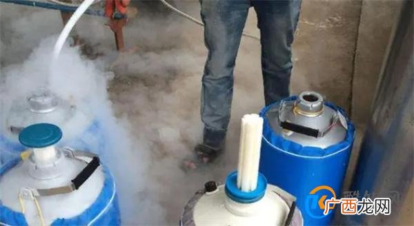 氮气的用途 氮气的用途与好处_酷知科普