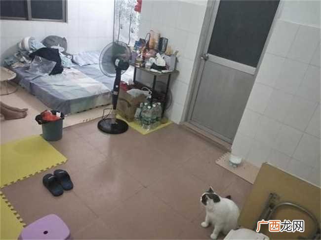 出租房电费为啥高得离谱 出租房为什么那么耗电