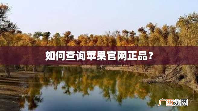 如何查询苹果官网正品？