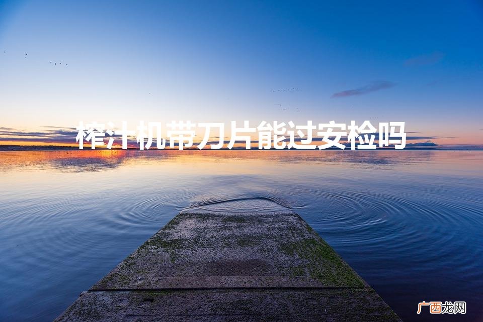 有刀片的榨汁机可以带上飞机吗 榨汁机带刀片能过安检吗