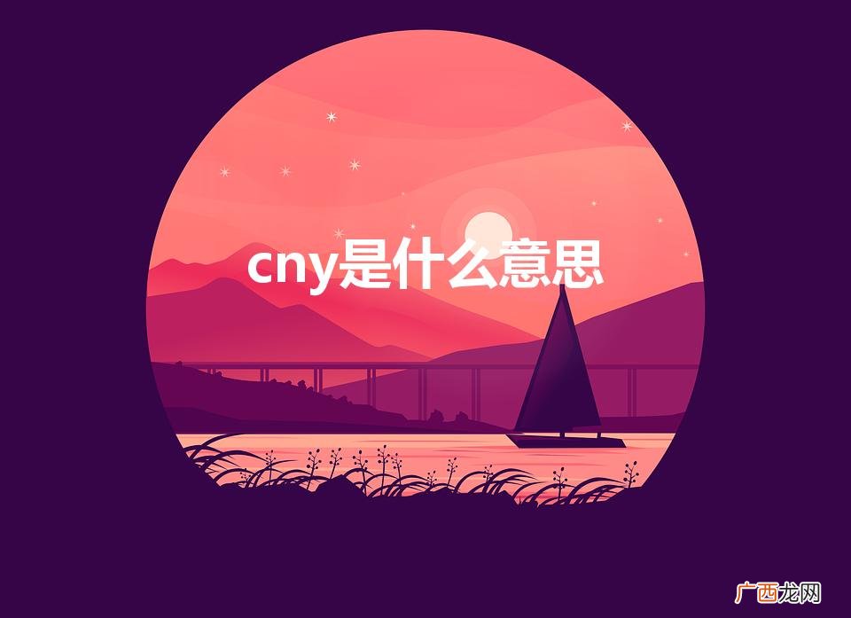 cny是什么意思（cny是什么意思的缩写)