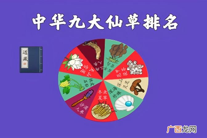 各自的功效作用及特点 中华九大仙草排行榜