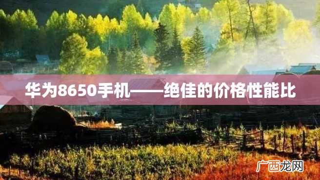 华为8650手机——绝佳的价格性能比