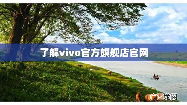 了解vivo官方旗舰店官网
