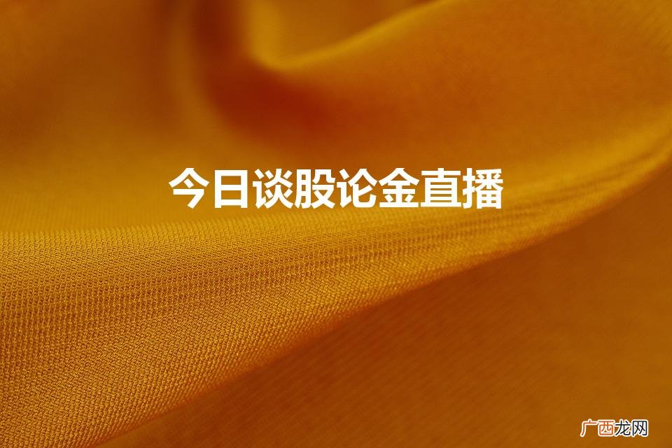 谈股论金直播在 哪个网站可以看到呀  今日谈股论金直播
