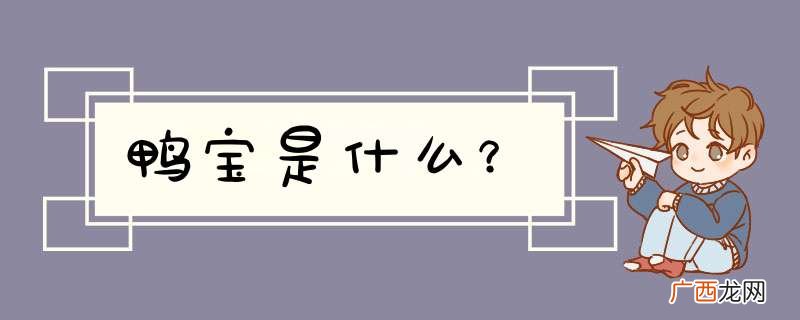 鸭宝是什么？