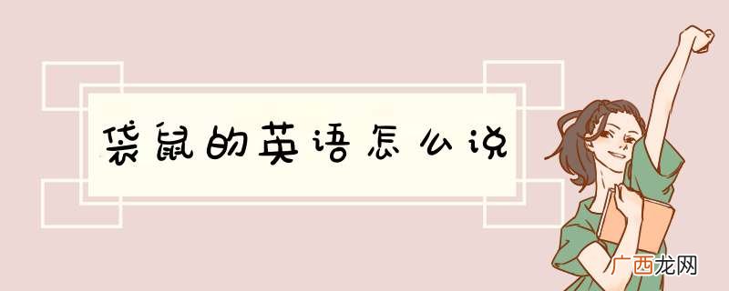 袋鼠的英语怎么说